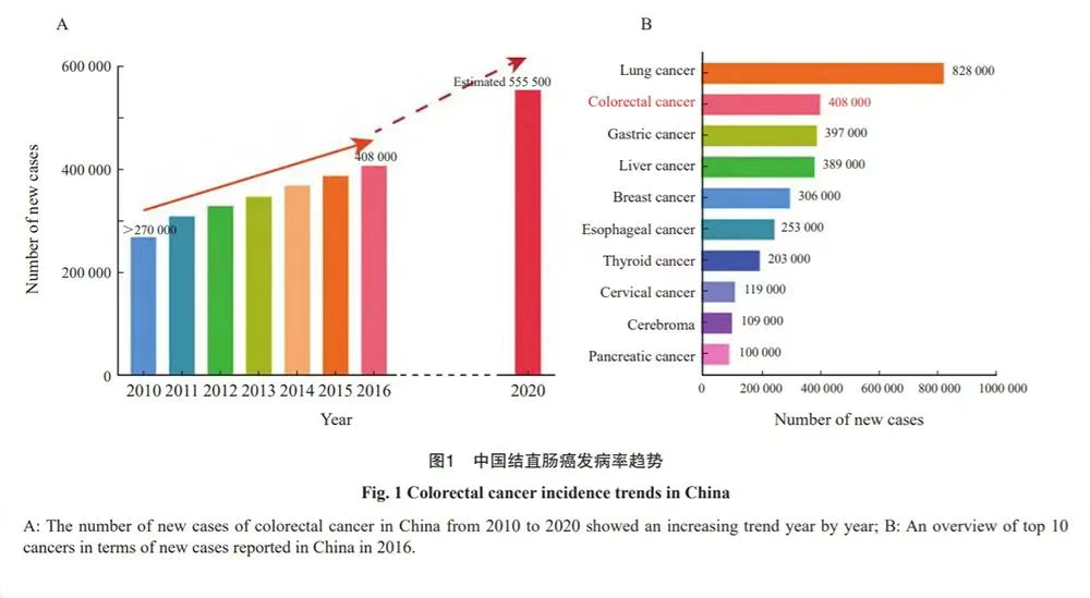 1749106489249890.jpg 1749106484934.jpg