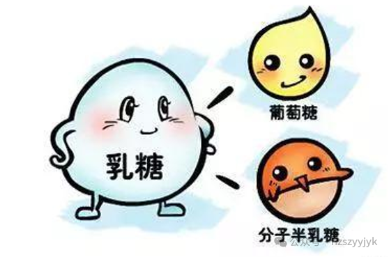 1749450256678571.png b7c48e72cf5d2c6cac4a5571cbb03c1.png