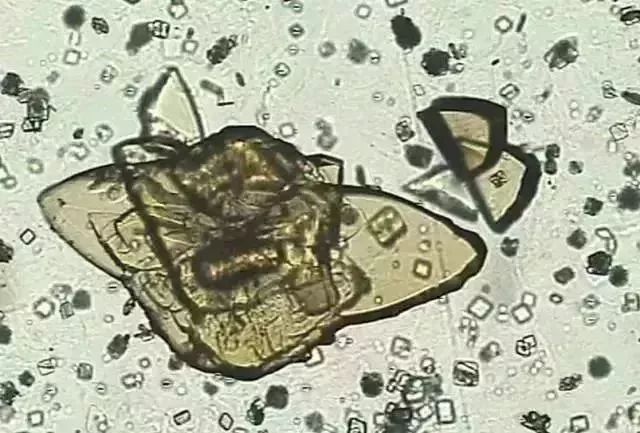 1749452456371270.jpg f8f19133277527638e9a7ba7991f5653.jpg