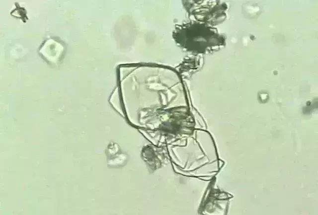 1749452471955418.jpg 3ea9690c94c8fd9bd571b25b414792fe.jpg