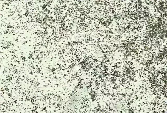 1749452681271594.jpg eb4da6d4acb778e767a852af222aa062.jpg