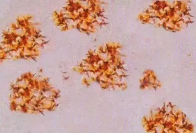 1749452838632087.jpg 1b412e22208956cc6dc4be6d6e8d11df.jpg