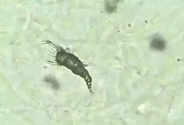 1749452991454992.jpg 74d9cdaba675e58cd489d005109ef6f2.jpg