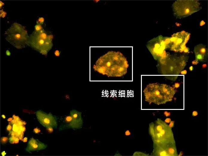 1749518491338756.jpg d54ad66b0e09bbf503b524102fb2154c.jpg